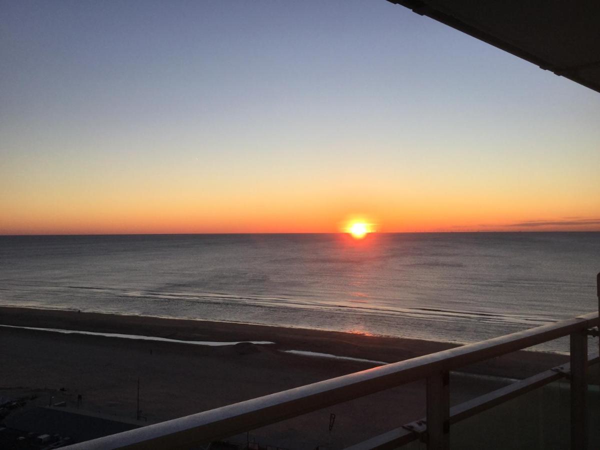 Zwarte Vis Daire Zandvoort Dış mekan fotoğraf
